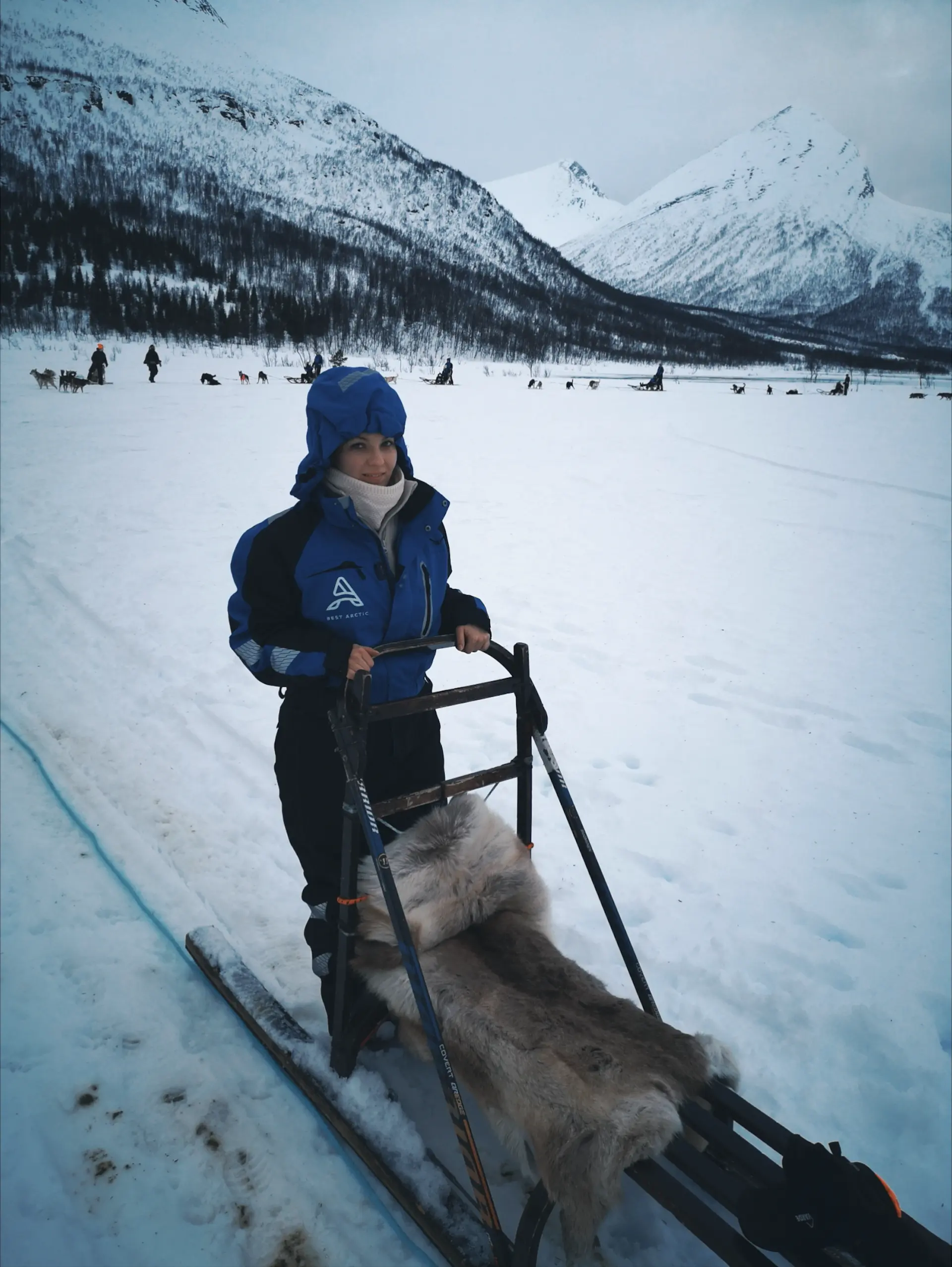 Husky Safari Tamokdalen